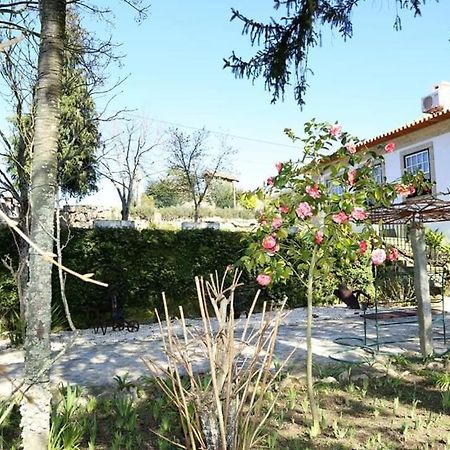 Marco de Canavezes Quinta De Vila Verde- Paixao Ancestral, Turismo Rural מראה חיצוני תמונה