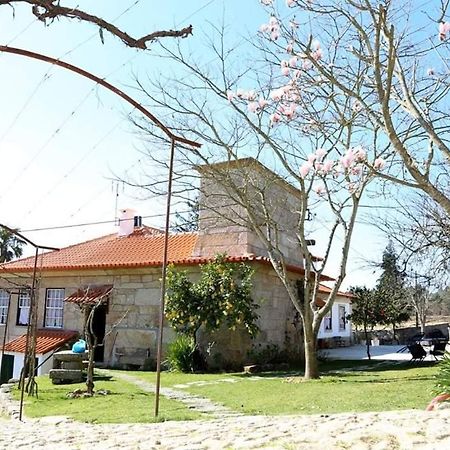 Marco de Canavezes Quinta De Vila Verde- Paixao Ancestral, Turismo Rural מראה חיצוני תמונה